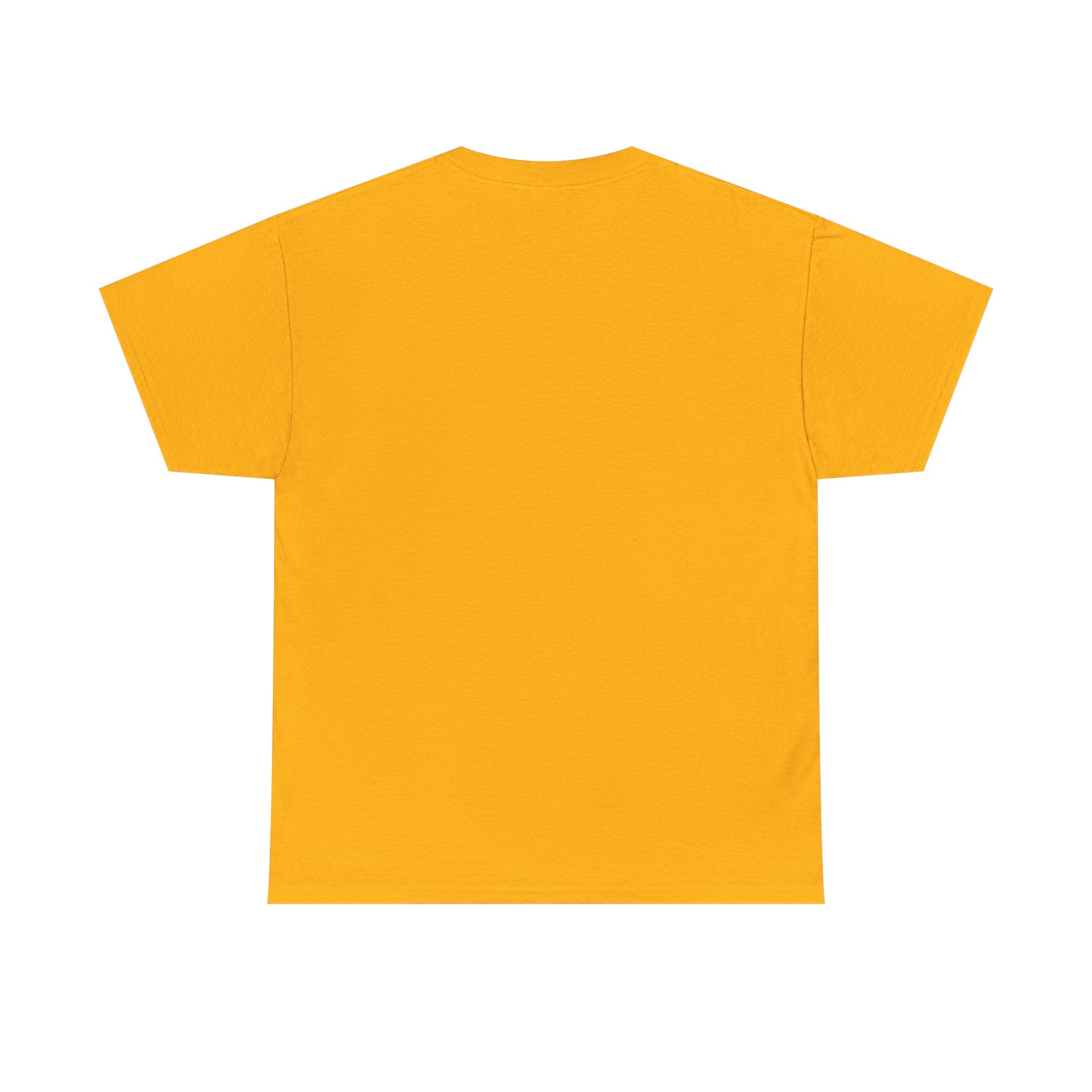 Juneteenth/ Africa Map AfroDenim T-Shirt – Pan-African Colors Tee