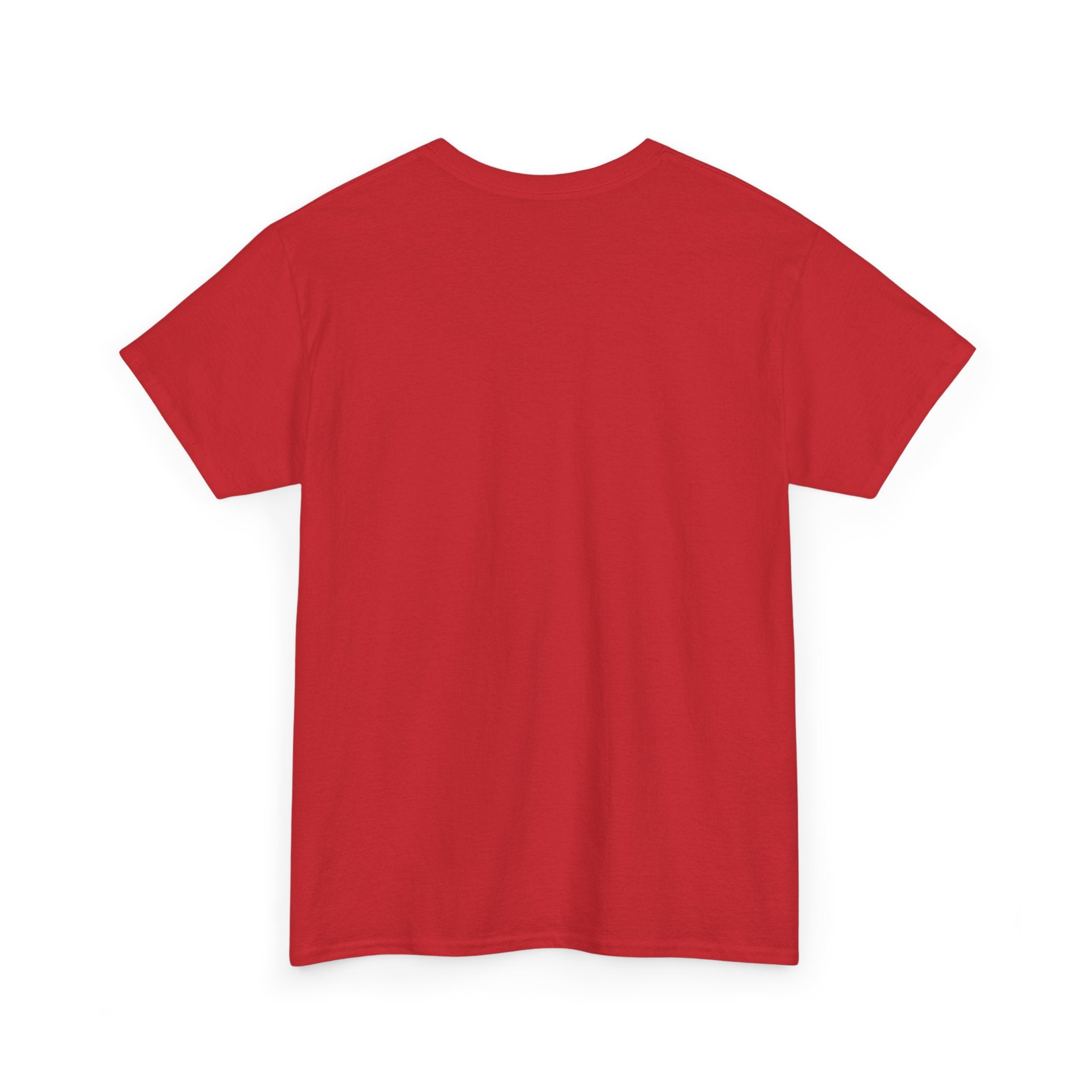Juneteenth/ Africa Map AfroDenim T-Shirt – Pan-African Colors Tee