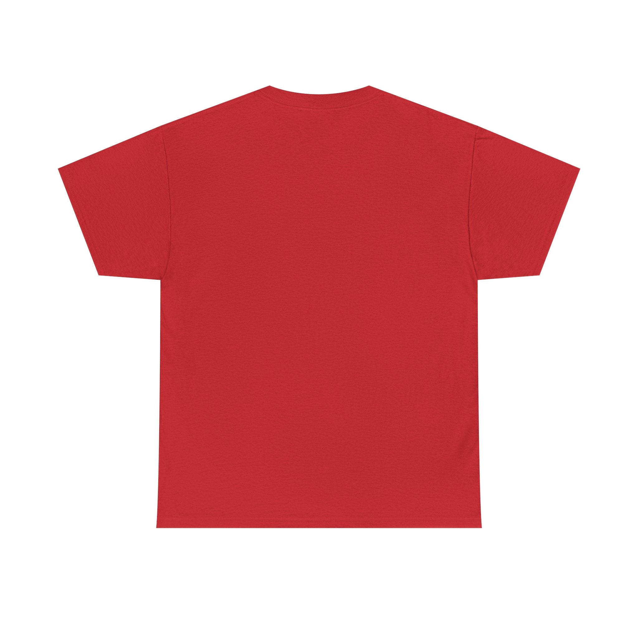 Juneteenth/ Africa Map AfroDenim T-Shirt – Pan-African Colors Tee